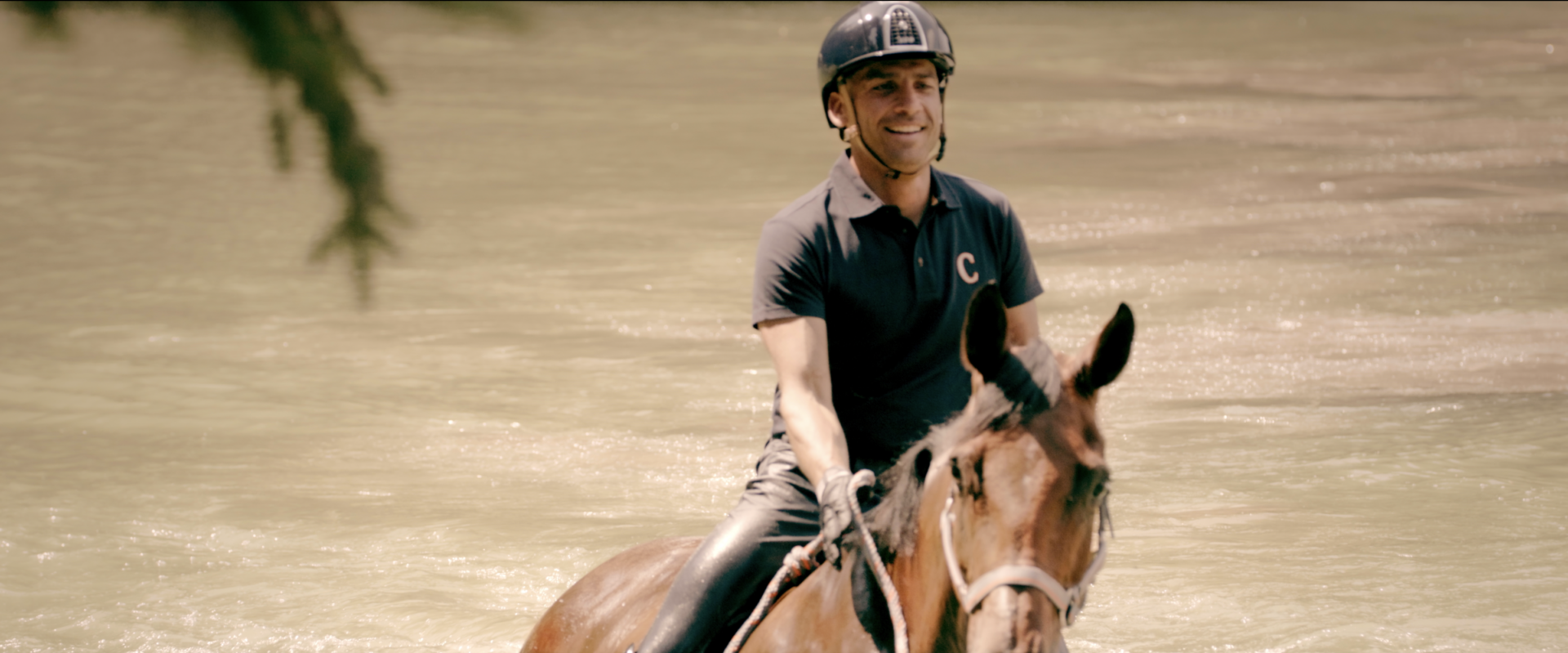 Alexandre Ayache cavalier olympique selle d'équitation