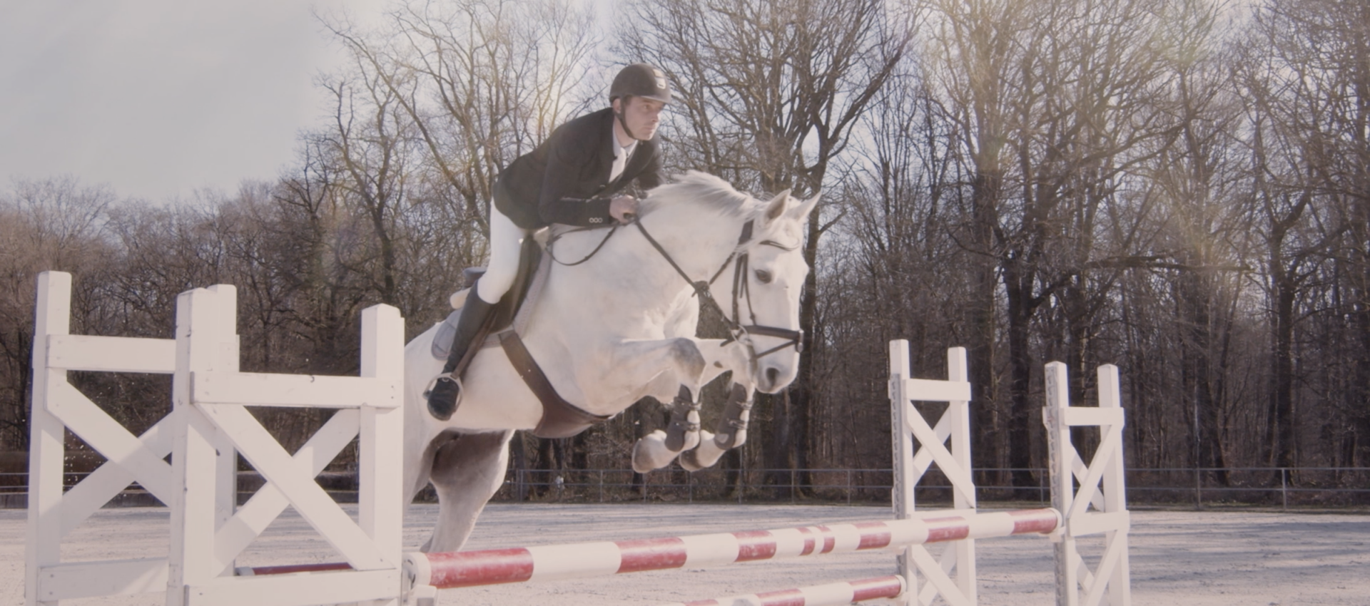 cheval CSO qui saute